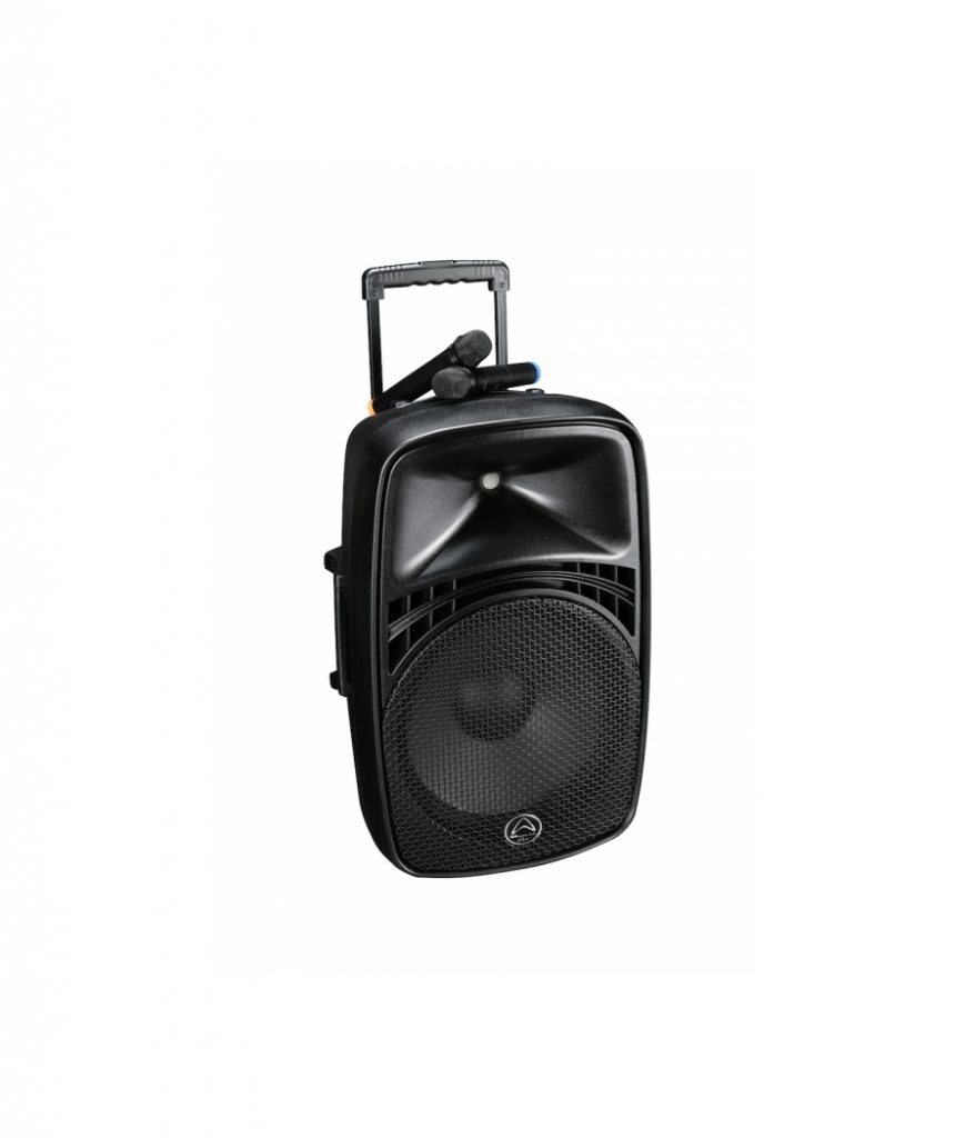 IRUKKA MUSICAL STORE GET FREE DELIVERY ON PA SYSTEMS IN NIGERIA PUBLIC