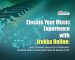 Elevate your music experience with Irukka Online